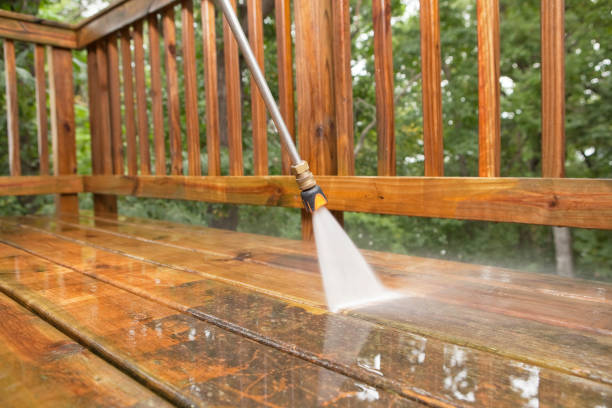 Best Solar Panel Cleaning  in Cactus, TX